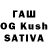 Галлюциногенные грибы Psilocybine cubensis FARAHNOZ ASAI