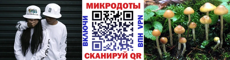 Псилоцибиновые грибы Psilocybine cubensis  Озёрск 